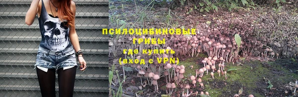 mdma Пересвет