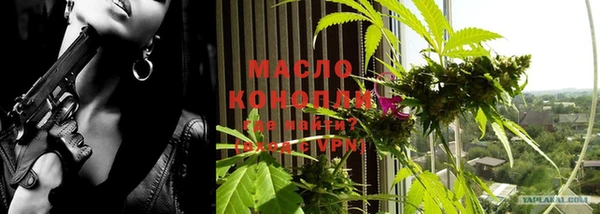 молекула духа Галич