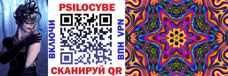 закладки  Апатиты  Псилоцибиновые грибы Psilocybine cubensis 