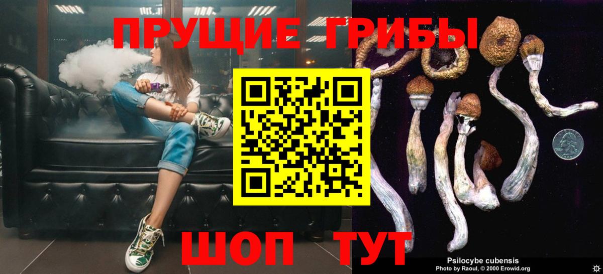 Апатиты  Псилоцибиновые грибы ЛСД  Псилоцибиновые грибы мицелий  сколько стоит  Вход с VPN 